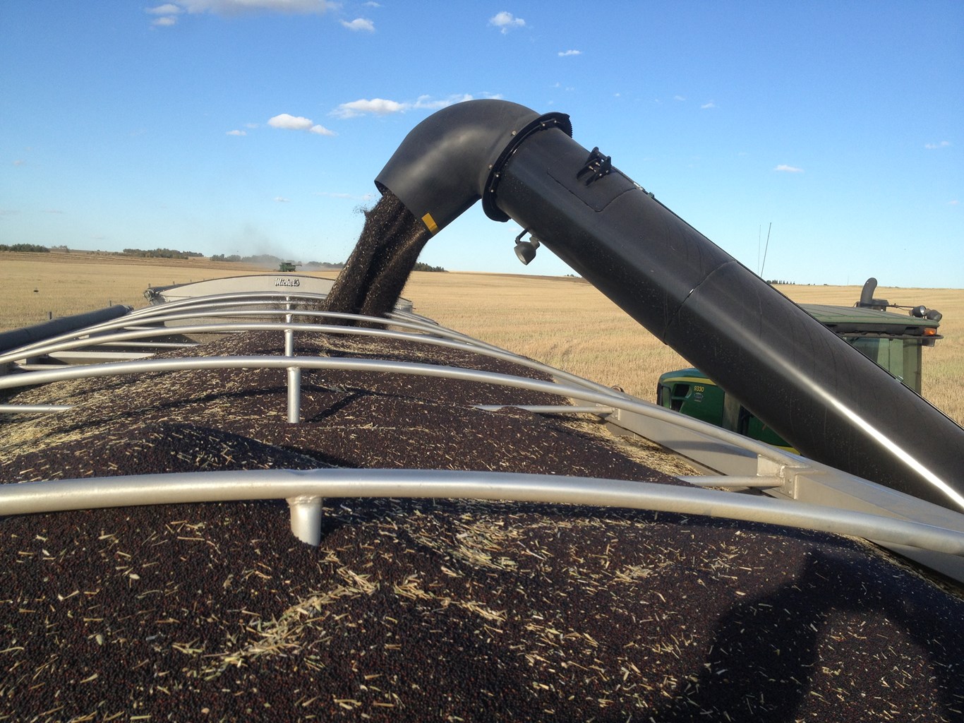 Grain auger unloading seed