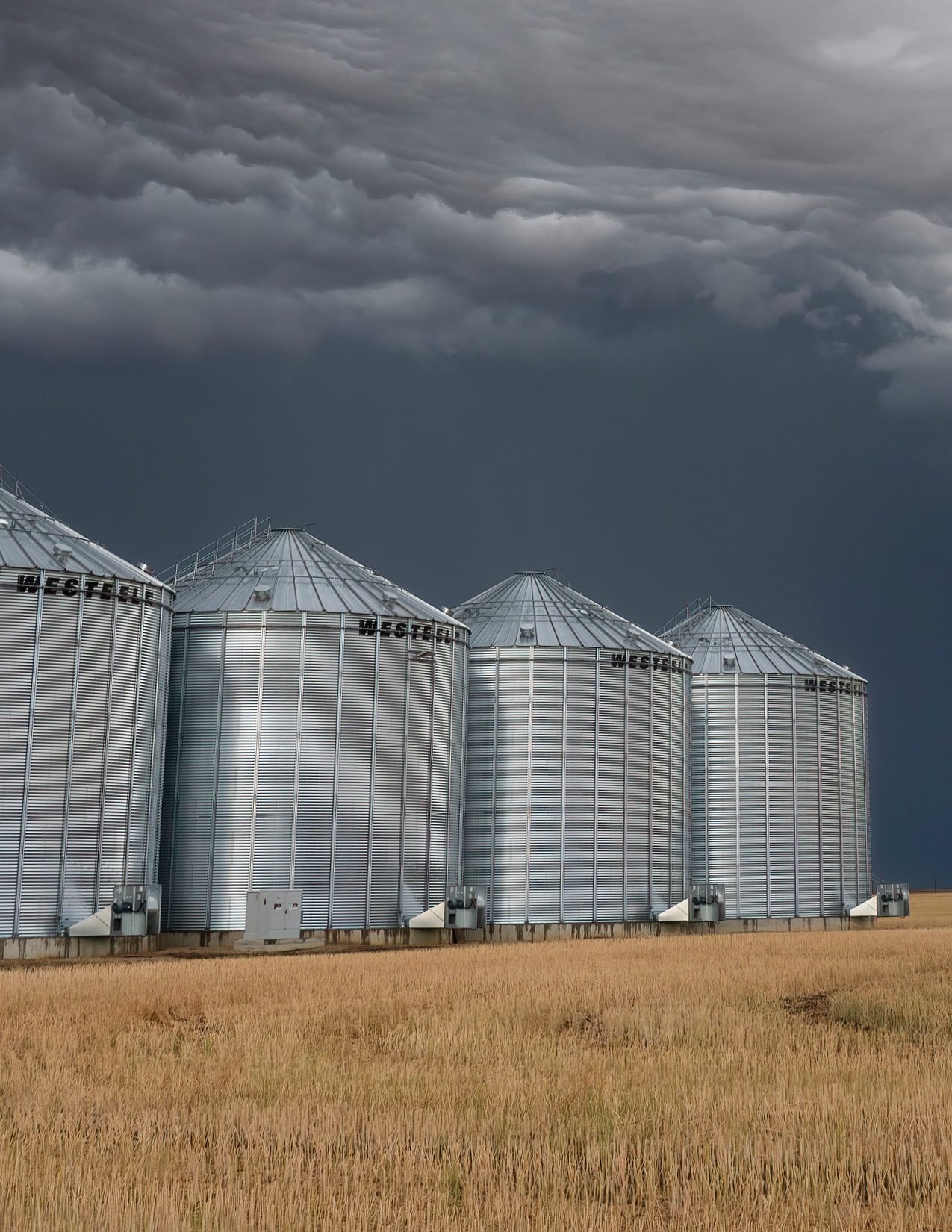 Grain bins on a canola field with a storm looming in the background.