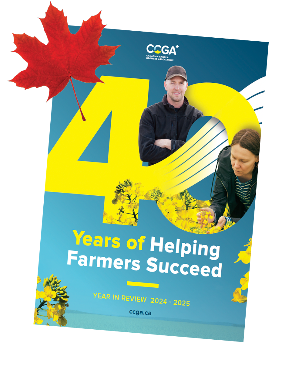 Cover of CCGA's 2024-25 Year in Review