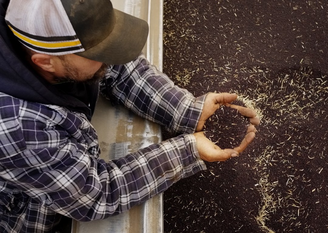farmer holding seed