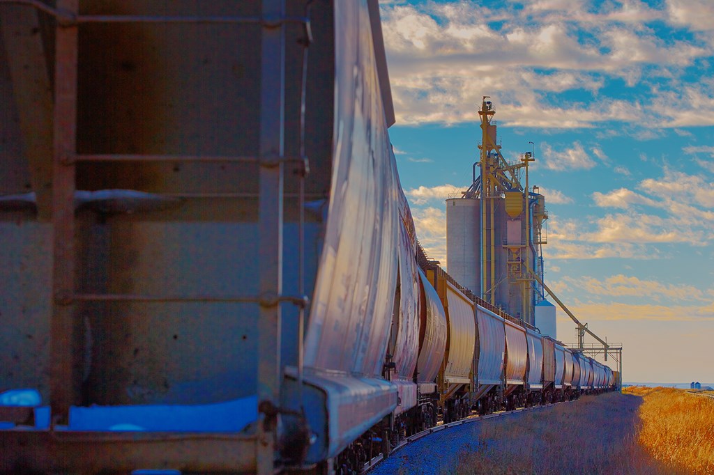 train