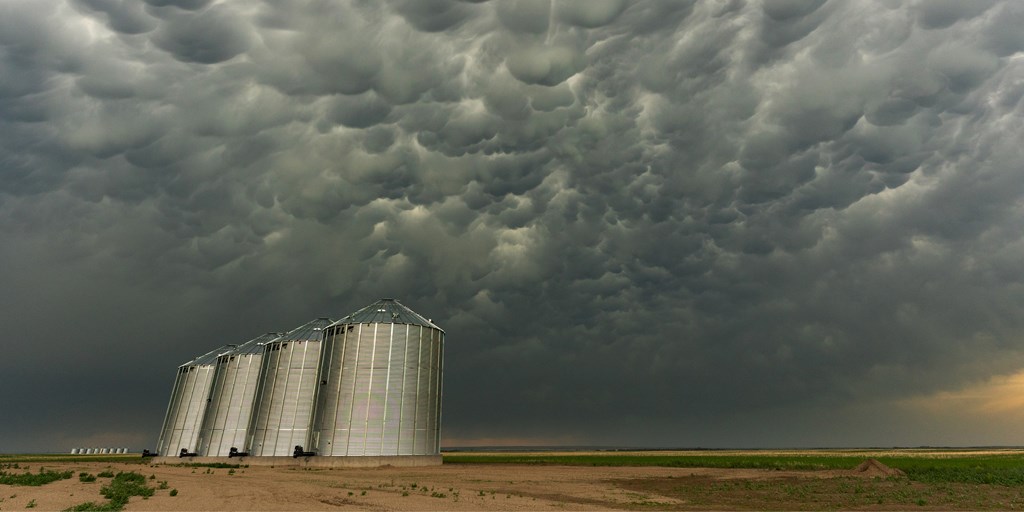 Storm and grain bins