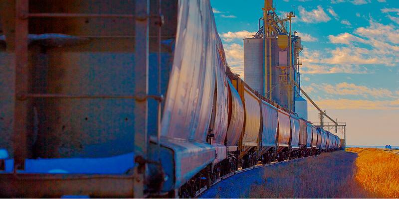 Train hauling gain next to an elevator.