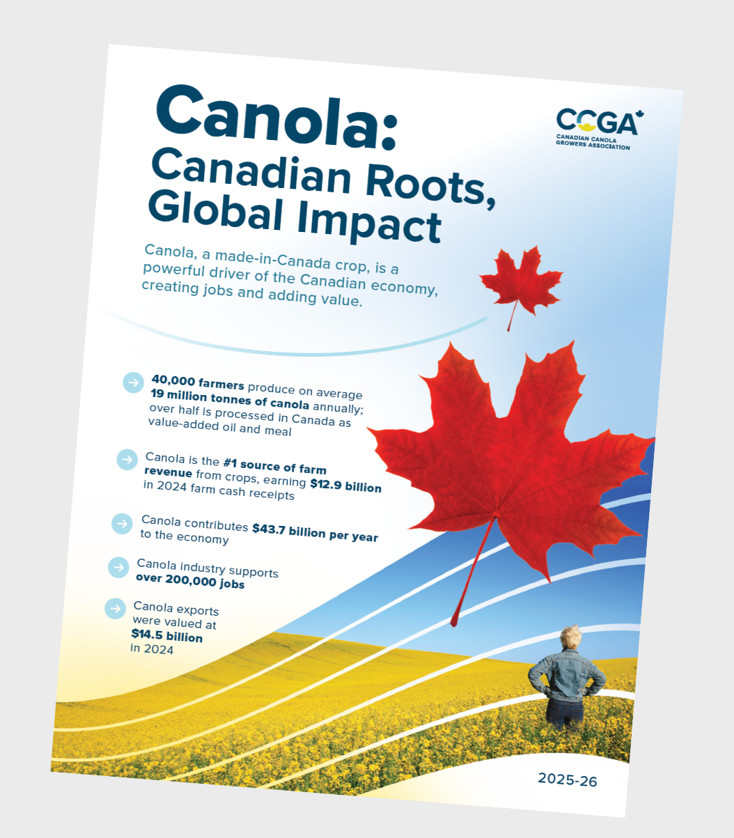 Brochure Cover