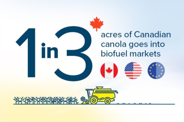 1in3 acres of Canadian canola goes into biofuels markets