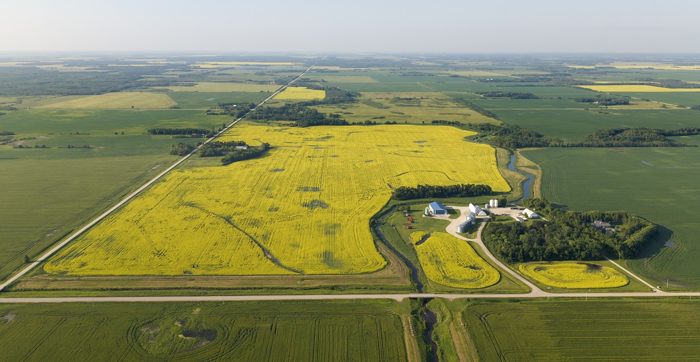 aerial farm view