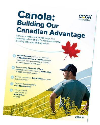Brochure Cover
