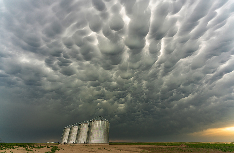 Grain bins