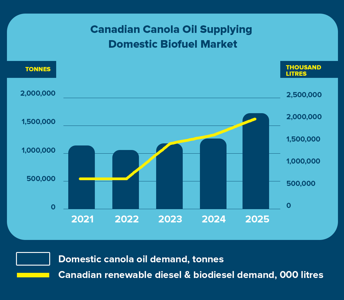 Chart outlining Canadian canola oil supplying domestic biofuel market