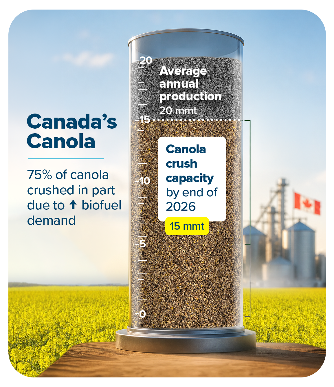 By 2026, up to 75% of the canola crop could be processed in Canada