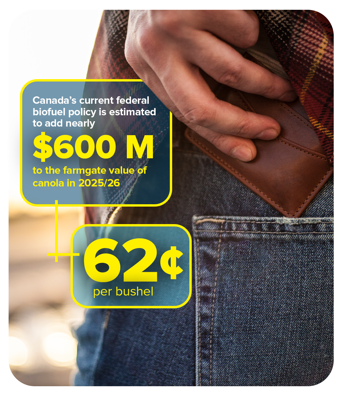 Canada’s current Clean Fuel Regulations is estimated to add nearly $600 million in farmgate value for canola in 2025/26. That’s $27 per tonne or $0.62 per bushel