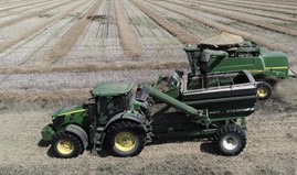 Canola harvest