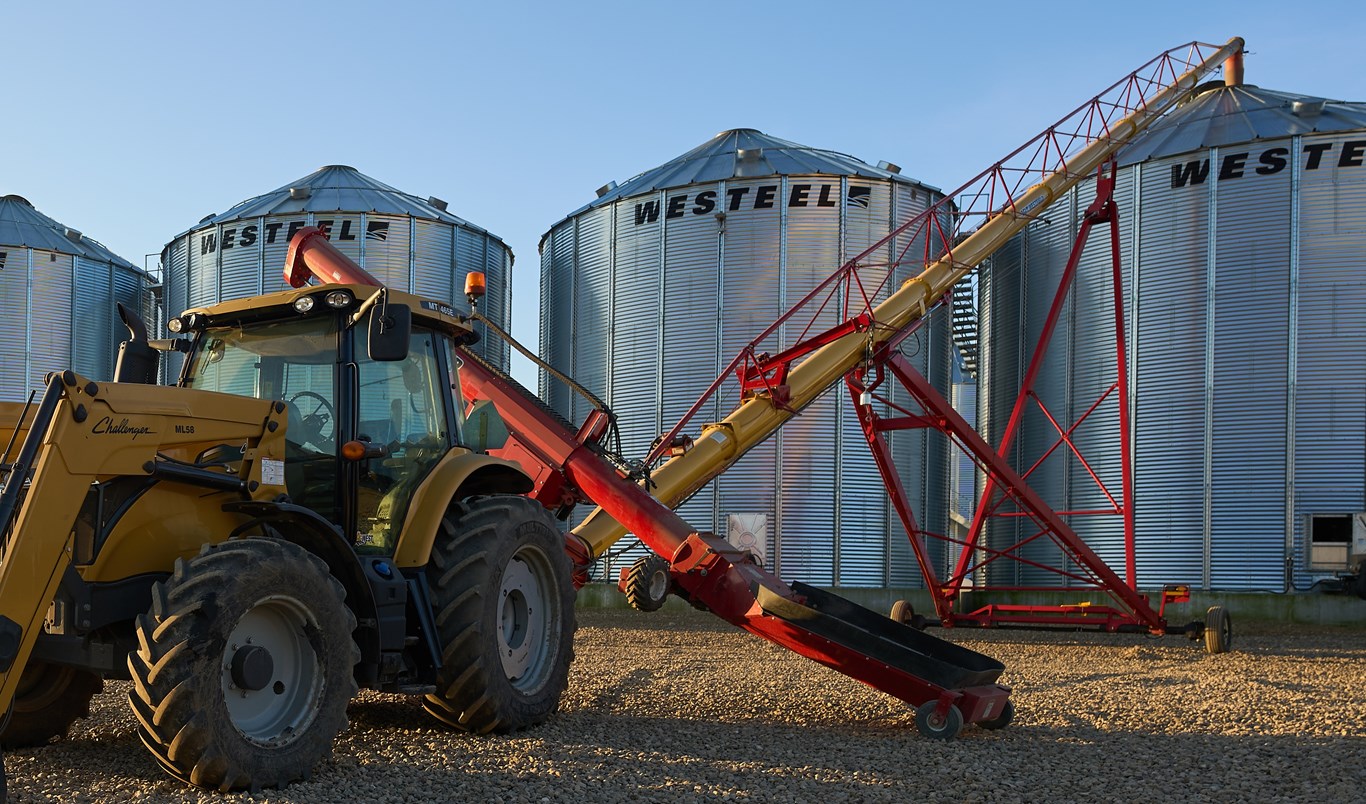 Tractor and grain auger on a Manitoba canola farm.