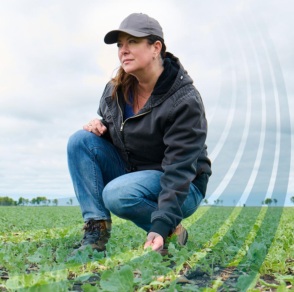 Farmer checking crop