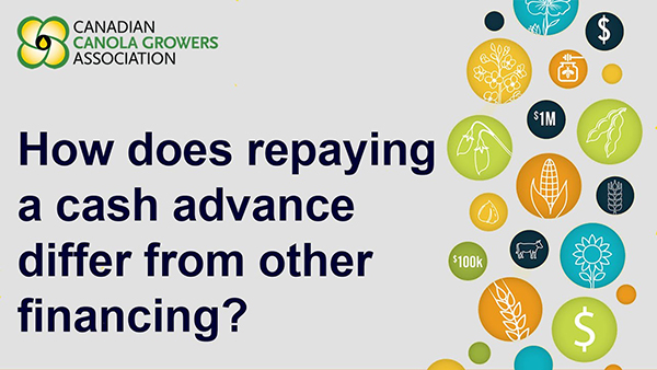 How does repaying a cash advance differ from other financing?