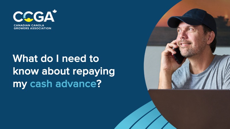What do I need to know about repaying my cash advance? video thumbnail