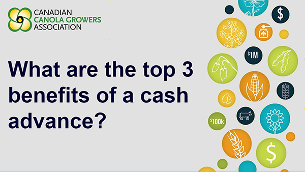 What are the top 3 benefits of a cash advance?