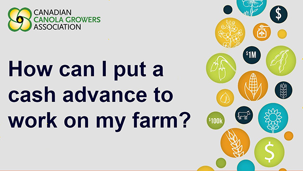 How can I put a cash advance to work on my farm?