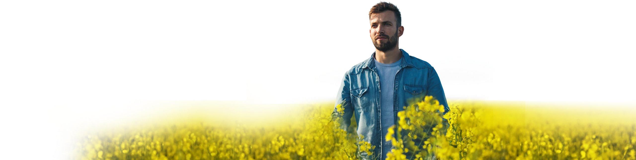 Farmer in Canola field